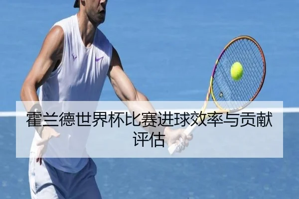 霍兰德世界杯比赛进球效率与贡献评估